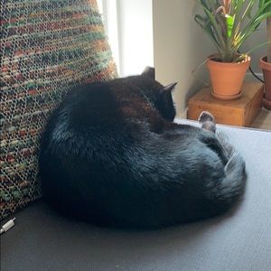 Meet your Posher, Al